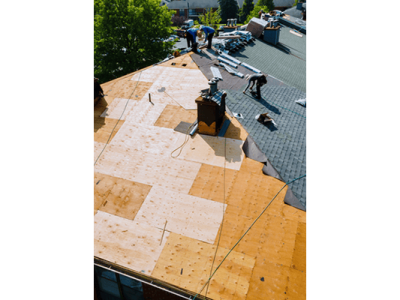 Professional Roof Replacement