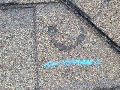 Roof Damage Repair