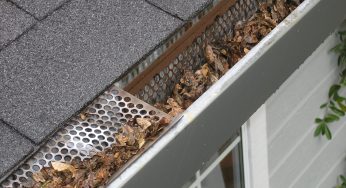 Seeds of Destruction: How Debris Threatens Your Gutters