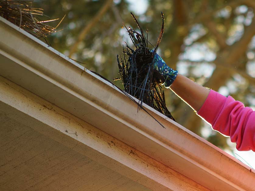 Over the Top Roofing & Exteriors, CO